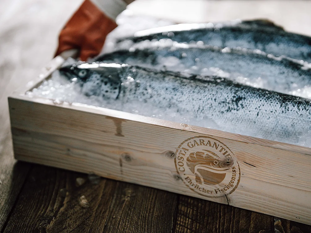 Nahaufnahme einer Holzkiste mit drei frischen Fischen auf Eis. Auf der Seitenwand ist das COSTA Qualitätssiegel als Brandzeichen zu sehen.